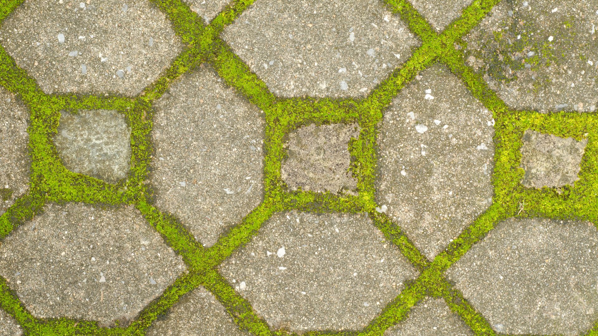 Sustainable building materials 