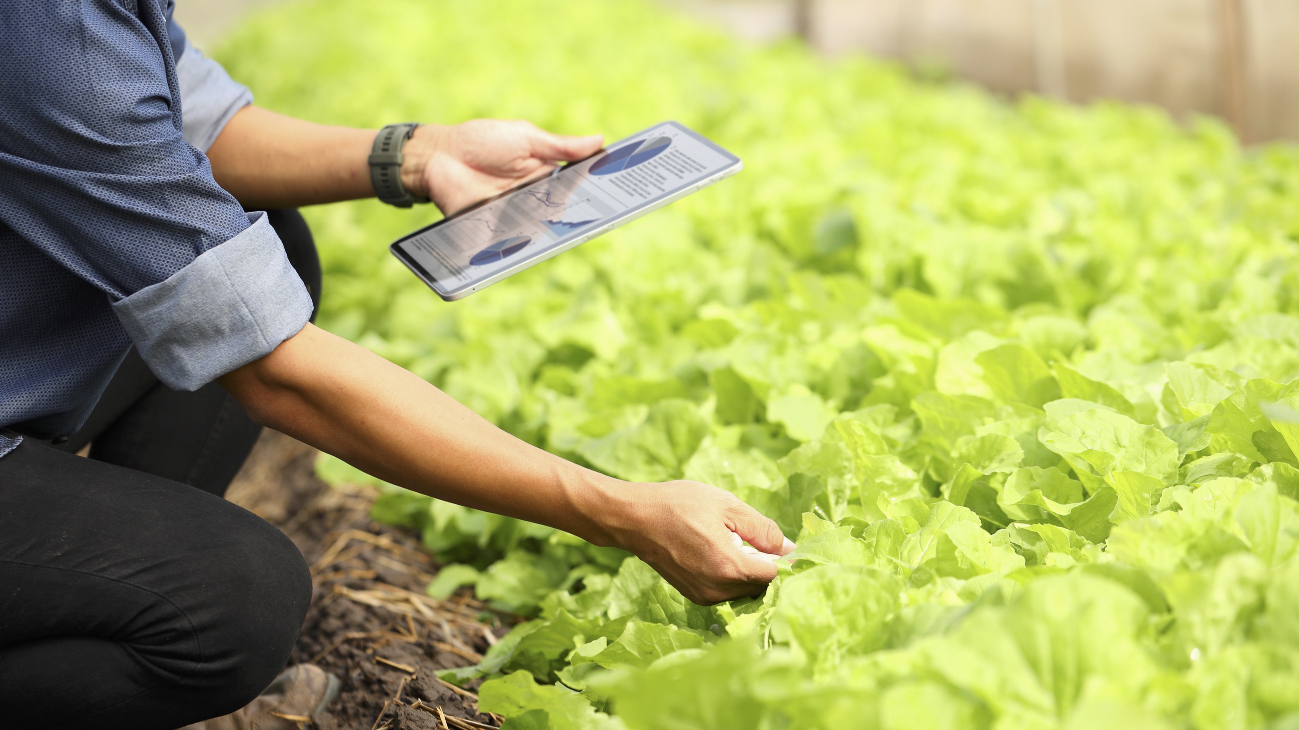 6.	Climate, Data & Enabling Technologies