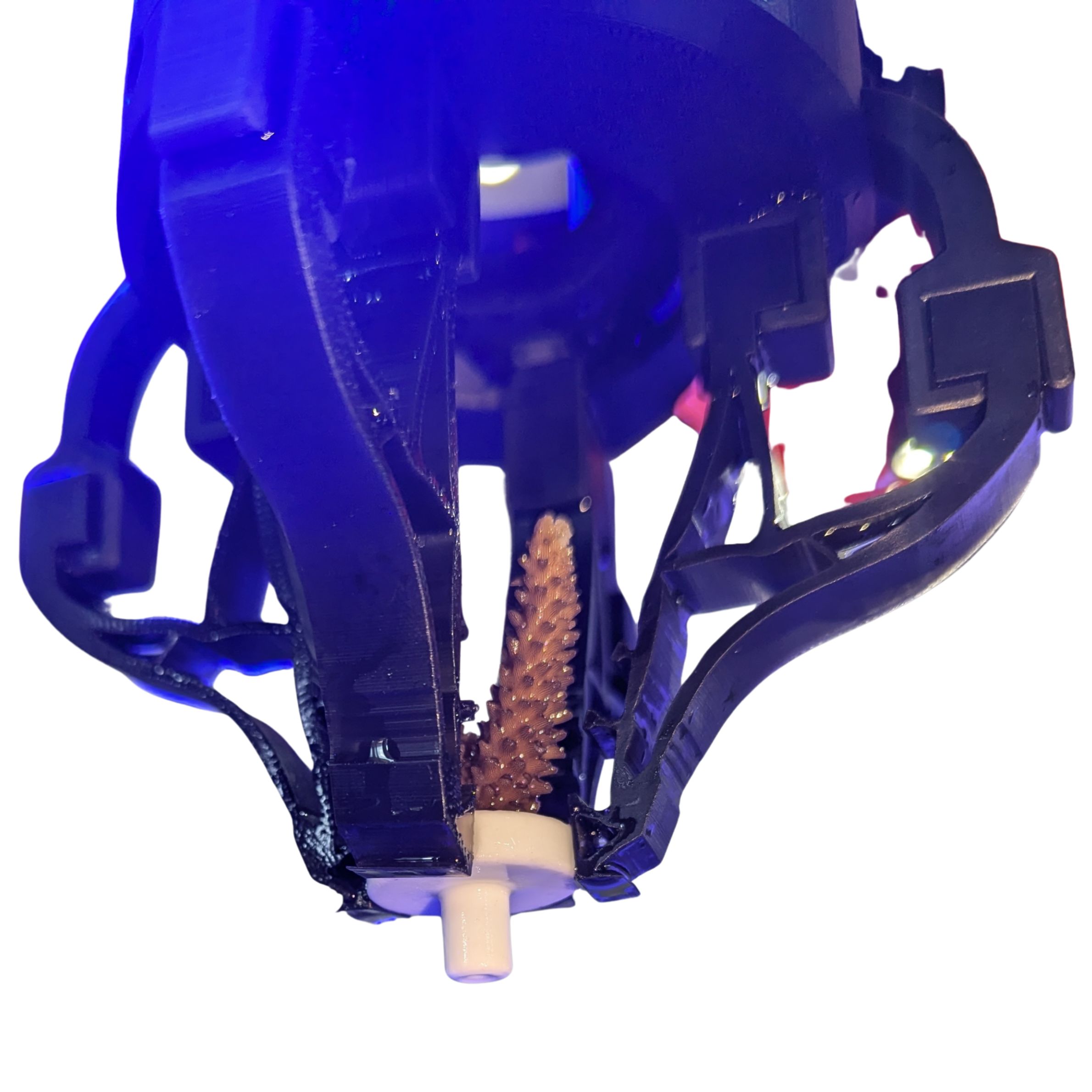 Solution Image